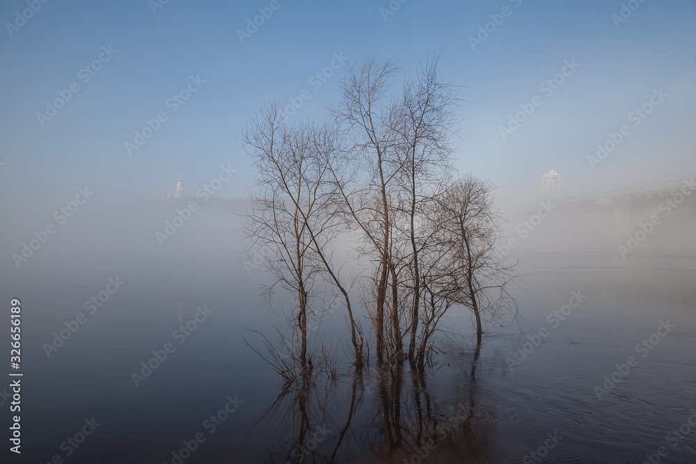 Spring landscape with trees standing in the water against the background of fog and blue sky. Spring flood