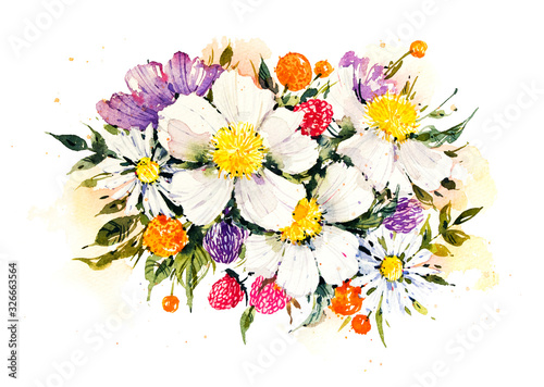 Watercolor botanical illustration. Vintage flower. Flower bouquet. Sketch. Botanic. A tender bouquet on a white background. White peonies and raspberries