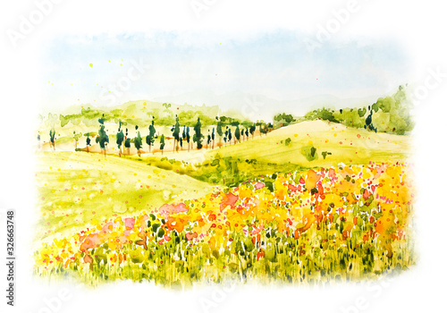 Watercolor hand drawn botanical illustration. Summer landscape. Watercolor Summer nature. Green fields and grass. Natural panorama with green sunny fields