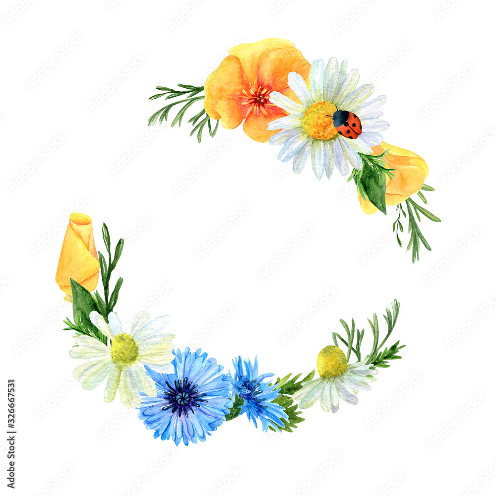 Watercolor wreath of summer meadow flowers and herbs. Floral composition of poppies, cornflowers, ladybug and chamomiles