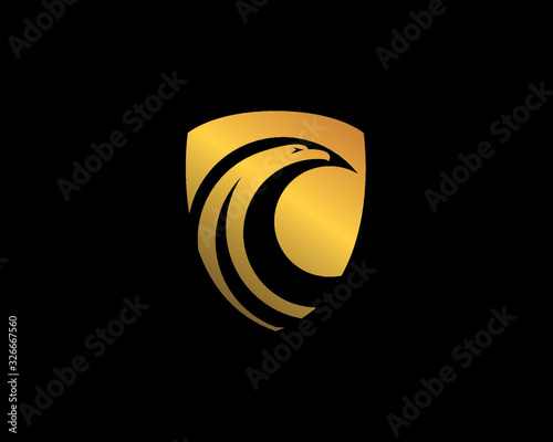 gold eagle hawk head negative space inside a golden and silver shield
