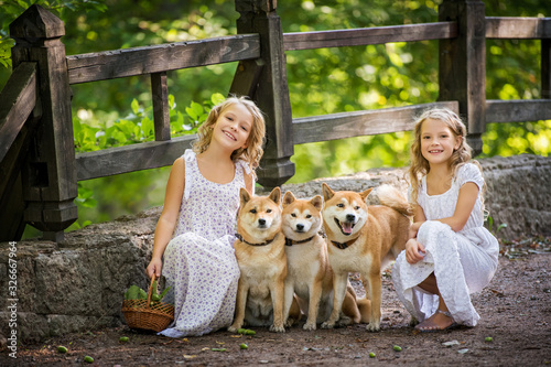 Two girls and dogs are walking in the summer in the park on a sunny day.