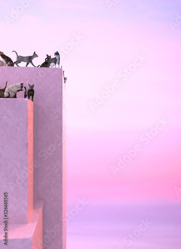 Photography Many stray cats walking on the roof of pink building on a background of pink and purple sunset