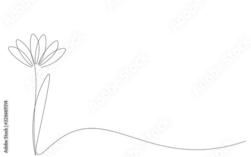 Spring flower isolated on white background. Continuous line drawing. Vector illustration