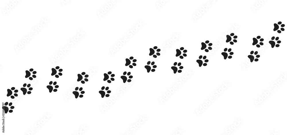 Fototapeta Track of cat dog tracks, footprint, design