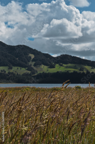 landscape with lake and mountains photo