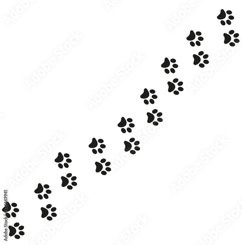 Fototapeta Naklejka Na Ścianę i Meble -  Track of cat dog tracks, footprint, design