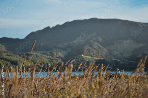 view of mountains with natural light in Neusa photo