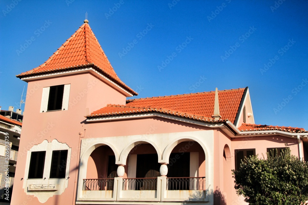 Old and typical colorful facades in Costa Nova