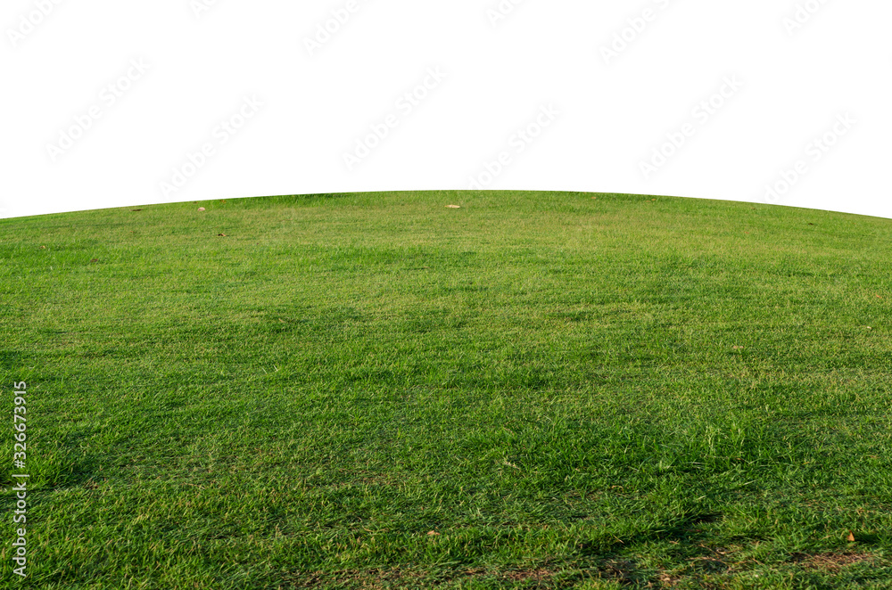 Green grass field isolated on white background with clipping path,Green grass meadow field from outdoor park isolated in white background - obrazy, fototapety, plakaty 