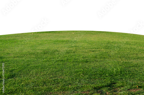 Tableau sur toile Green grass field isolated on white background with clipping path,Green grass me