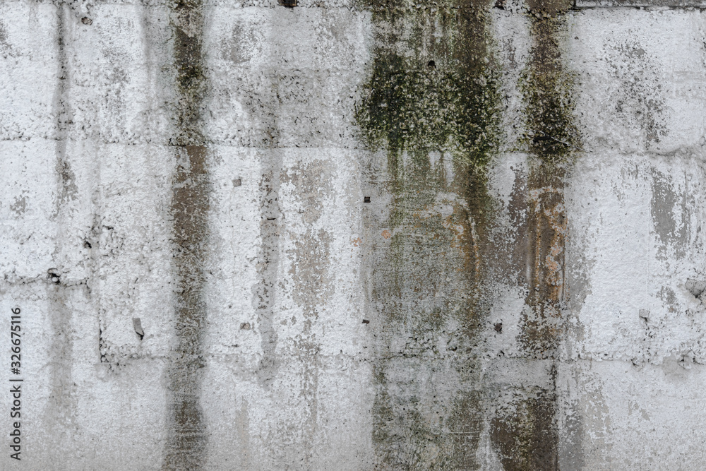 Obraz premium Old gray concrete wall for background.