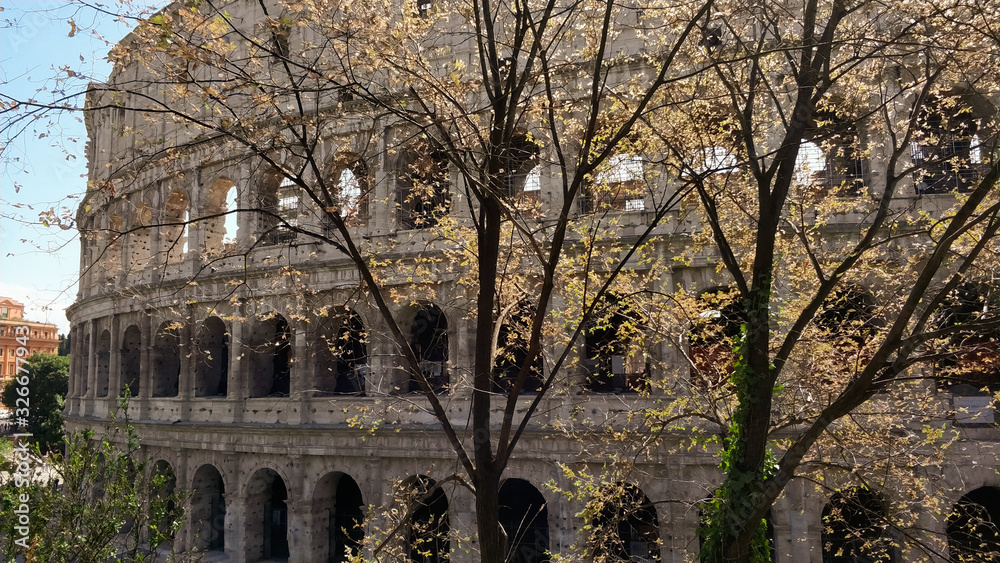 Obraz premium trees with yellow falling leaves against the background of the Colosseum on a Sunny cloudless autumn day