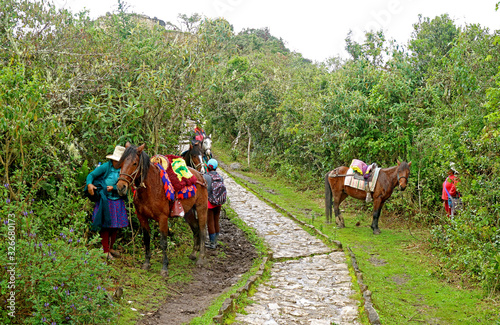 Horse-rental for Tourist at the Way Up to Kuelap Archaeological Complex, Amazonas Region in Northern Peru