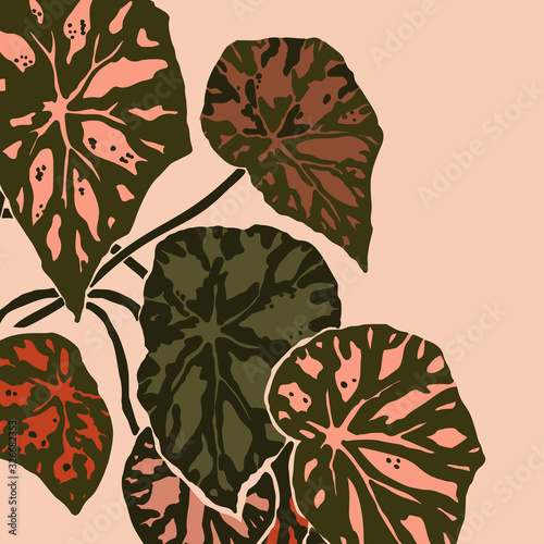 Begonia bowerae leaves in a minimalist trendy style. Silhouette of a plant in a contemporary abstract style. Vector illustration collage. For t-Shirt Print, card, poster, social media post photo