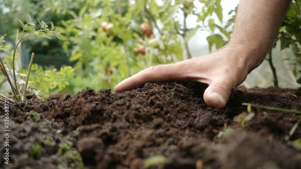 Gardening. A gardener checks the soil by hand. The farmer is pleased with the fertile soil. Recorded in slow motion.