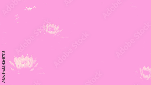 Abstract pink background with lotus flowers. © Stepanov Aleksei