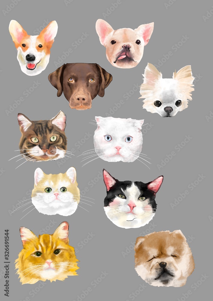 Cat dog illustration