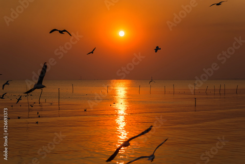 Sunset Landscape View of Paradise Tropical Bangpoo Beach over the Sea with Seagull. © bubbers