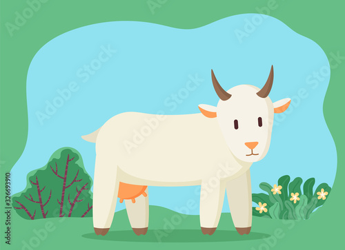 Goat with horns and udder pasturing on green grass in countryside. Cattle cartoon character standing near bush and flowers plants outdoor. Wildlife animal walking on meadow in summer season vector