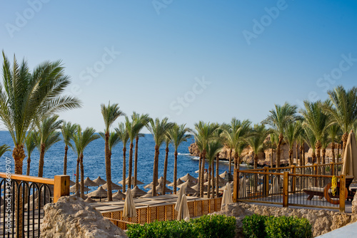 Beach with palm trees, umbrellas and sunbeds.