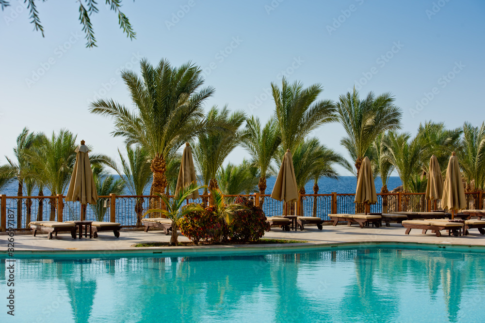 Public beach with palm trees, umbrellas and sunbeds.