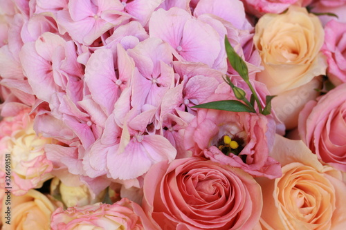  background, delicate flowers, hydrangea roses beauty wedding tenderness love good bouquet plants herbs