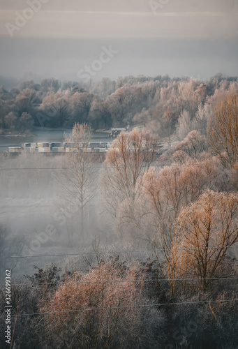 Vertical winter landscape in the far distance and frost covered trees and shrubs. Foggy and misty.