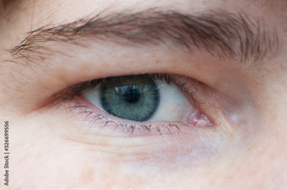 Obraz premium Female eye close-up. Concept for skin, eyelashes and eyes.