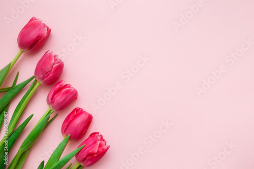 Fototapeta Naklejka Na Ścianę i Meble -  Pink tulips border on pink background. Spring greeting card concept. Top view, flat lay, copy space.