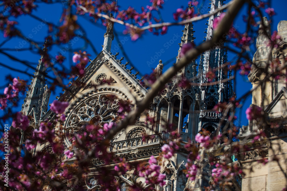 Obraz premium Detail of Notre Dame Cathedral in Paris in spring