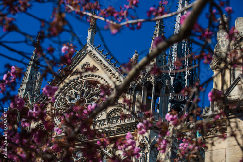 Detail of Notre Dame Cathedral in Paris in spring