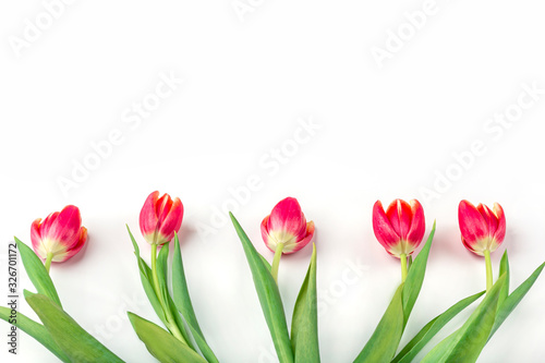 Greeting card with frame from fresh tulips on white background. Women's, Mother's, Valentine's day, birthday and other events background. Flat lay mockup for your lettering or copy space for text