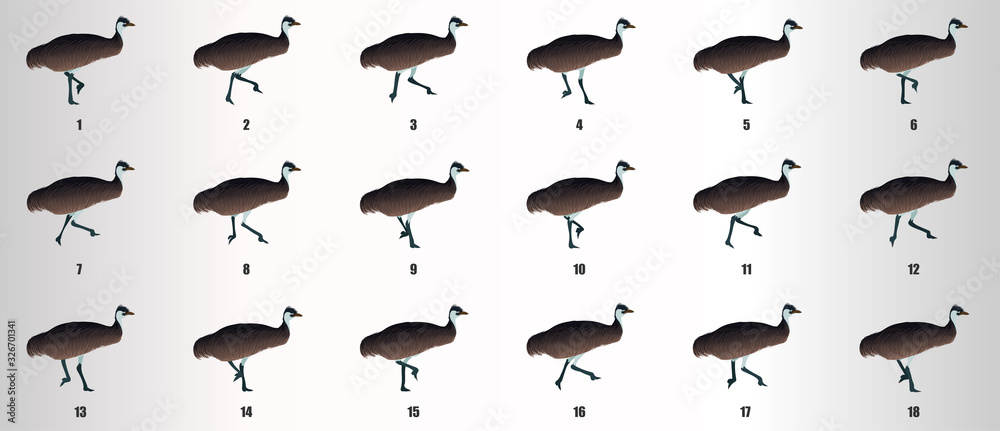 Emu run Cycle animation sequence, loop animation sprite sheet Emu run Cycle animation sequence, loop animation sprite sheet
