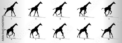 Giraffe run cycle animation frames silhouette, loop animation sequence sprite sheet 