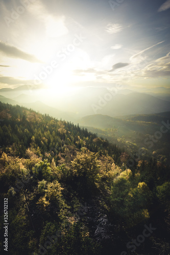 Autumn Forest landscape with fog in the mountains of Austria