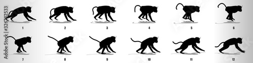 Monkey run cycle animation frames silhouette, loop animation sequence sprite sheet 