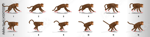 Monkey run cycle animation frames, loop animation sequence sprite sheet 