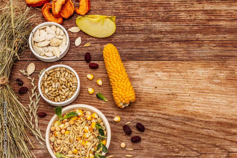 Balanced diet for domestic rodents. Assorted mix of grain and seeds, dry herbs, fresh fruits Balanced diet for domestic rodents. Assorted mix of grain and seeds, dry herbs, fresh fruits