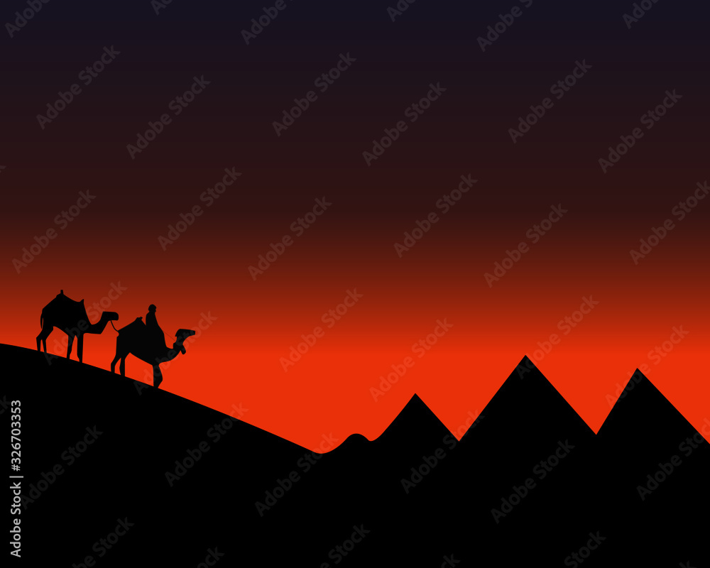 Fototapeta premium Man with camels riding in the desert sunset
