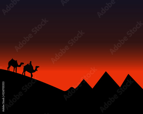 Man with camels riding in the desert sunset