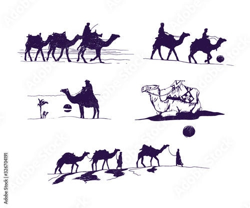 Vector hand drawn graphic camles silhuettes set.
