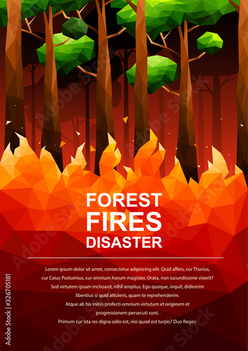 Polygonal Fire in the forest-Forest Fires Disaster concept.Vector Illustration.