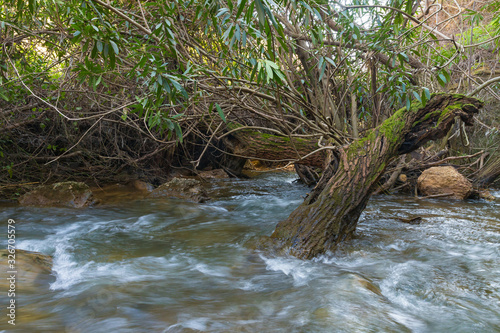 The rapid   shallow  cold mountain Ayun river in the Galilee in northern Israel