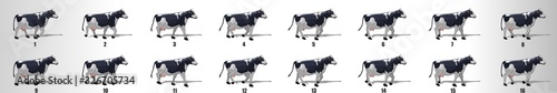 Cow Walk cycle animation frames, loop animation sequence sprite sheet 