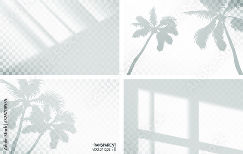 Set of transparent shadow overlay effects for mockup presentations branding. Natural lighting photo-realistic vector illustration. Tropical palm plant monstera leaves, foliage, window frames overlays