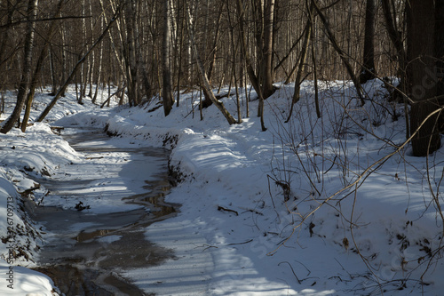 Εκτύπωση καμβά landscapes winter and brook