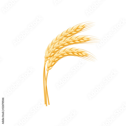 Wheat spike ear. Vector illustration cartoon flat icon isolated on white.