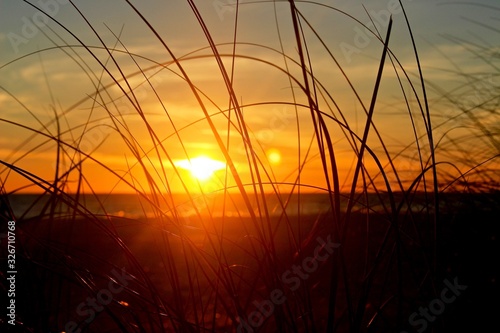 Beach Sunset With Grass