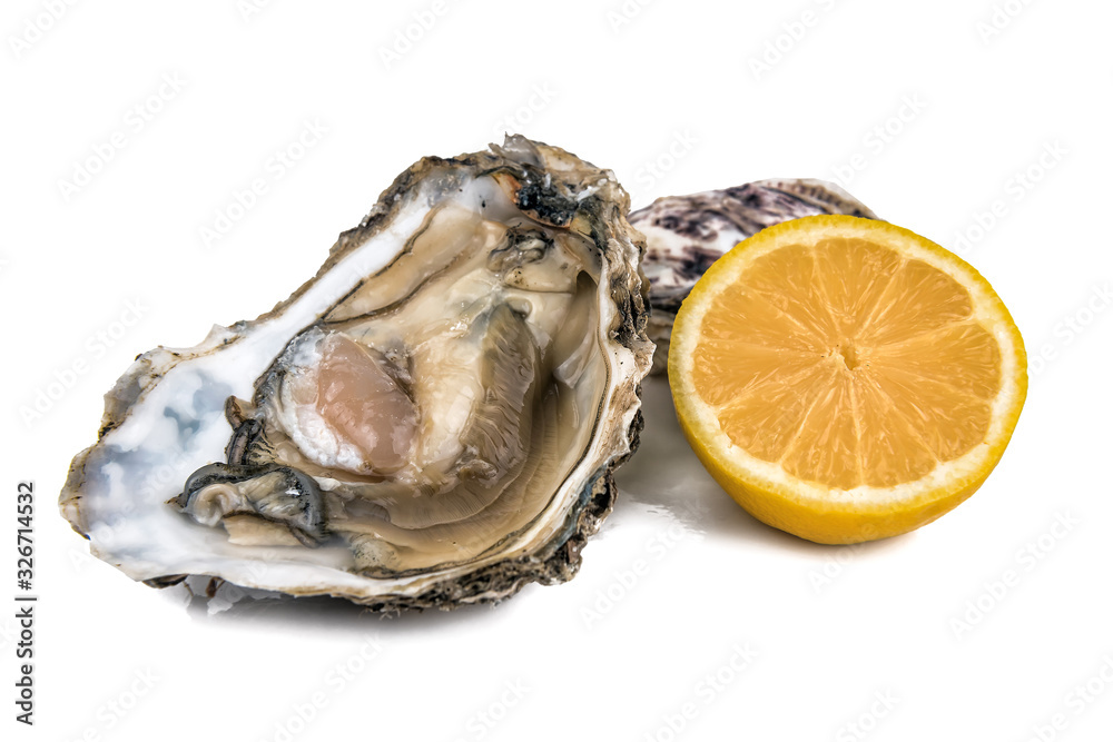 delicious raw oyster with lemon on white delicious raw oyster with lemon on white
